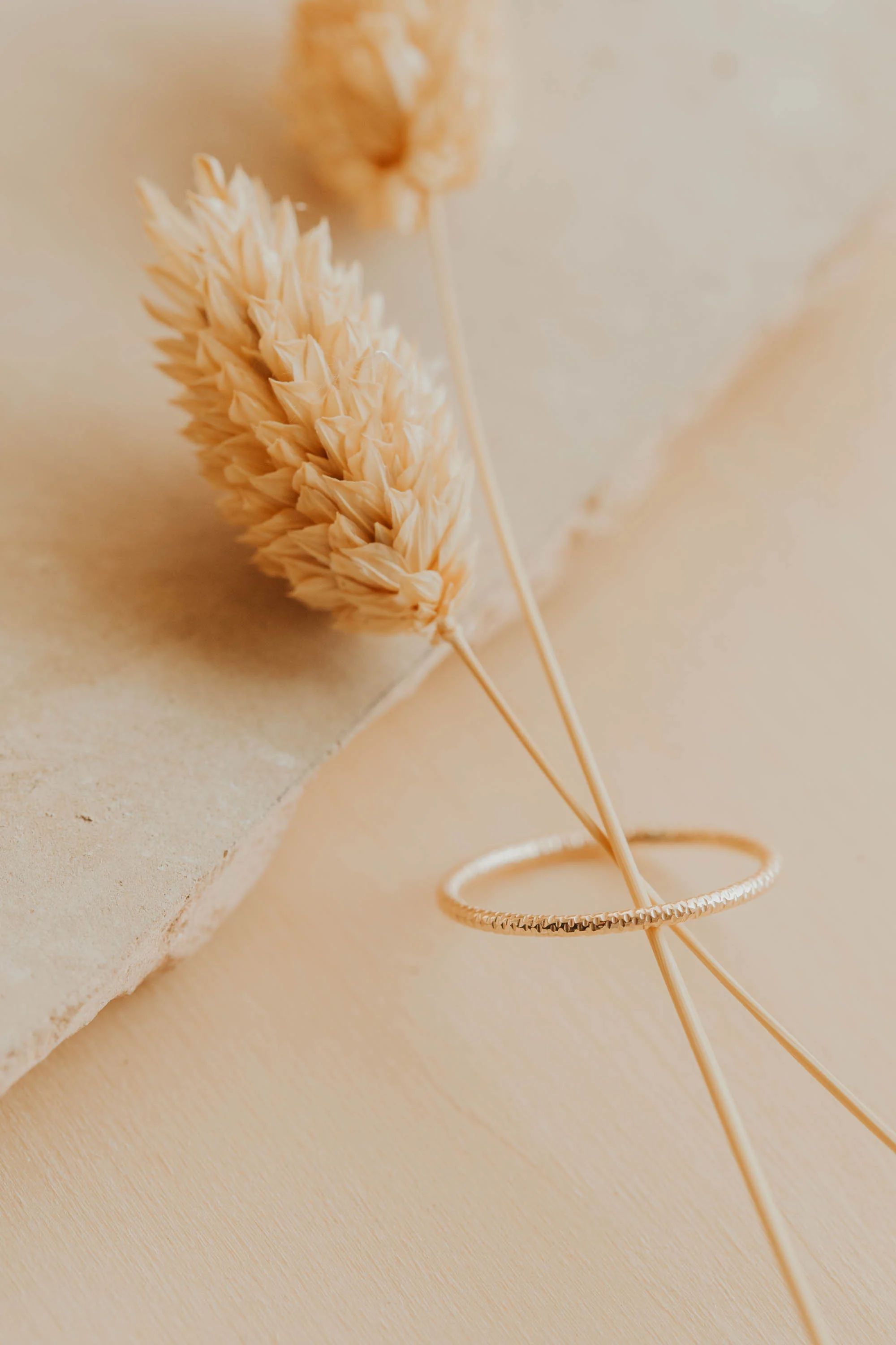 Moonlight Band - Image 5